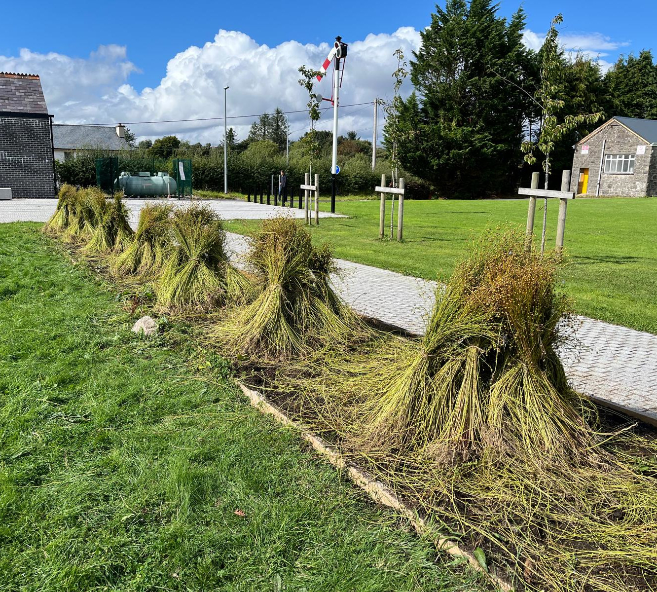 Hand to Land and Thread in Hand - tracing the heritage of flax in Ballinamore