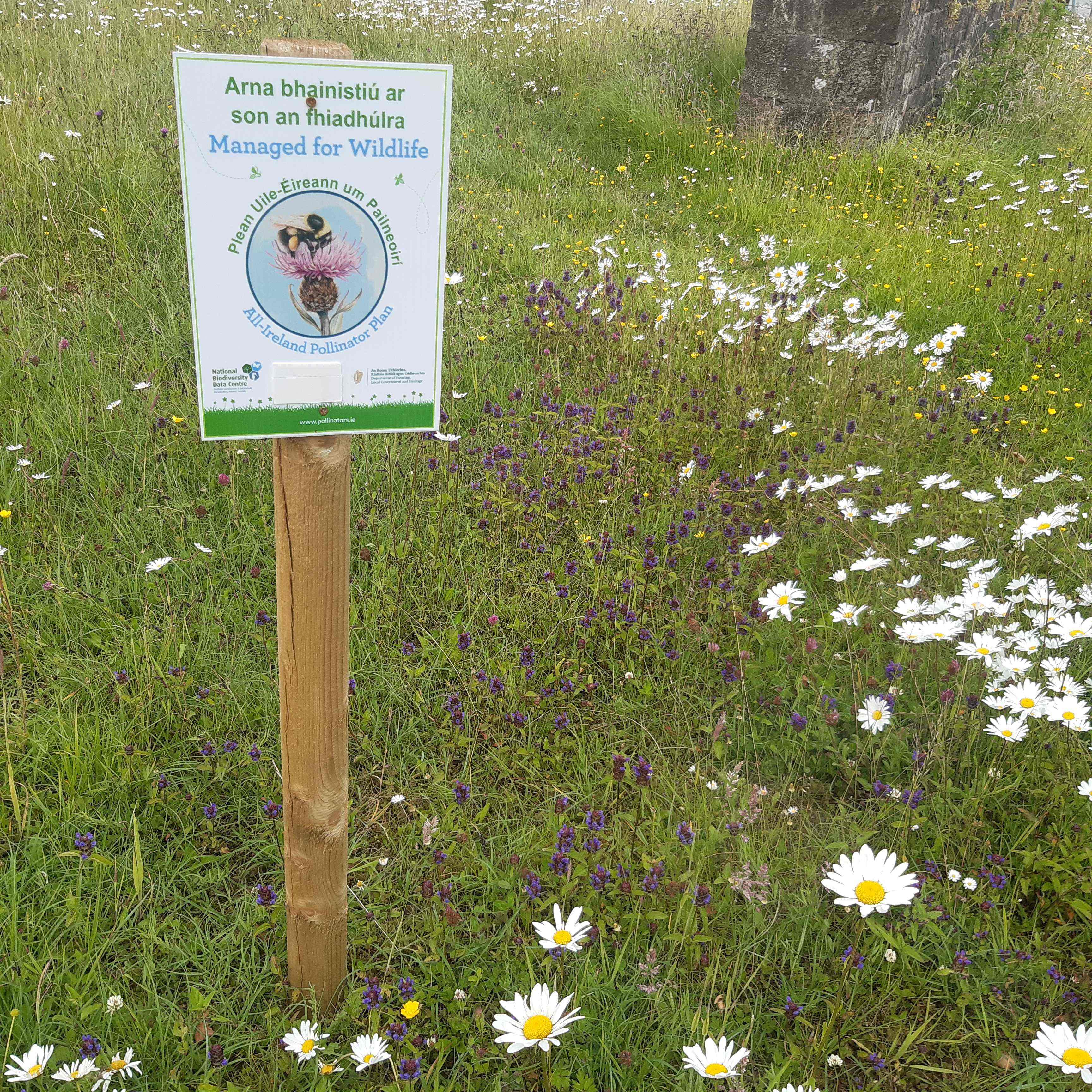 Community Biodiversity Plans