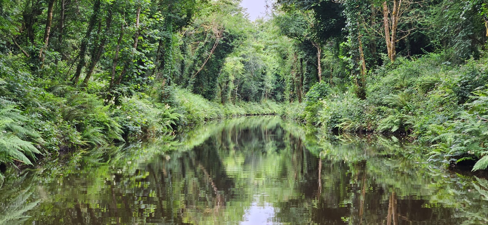 What is biodiversity? 