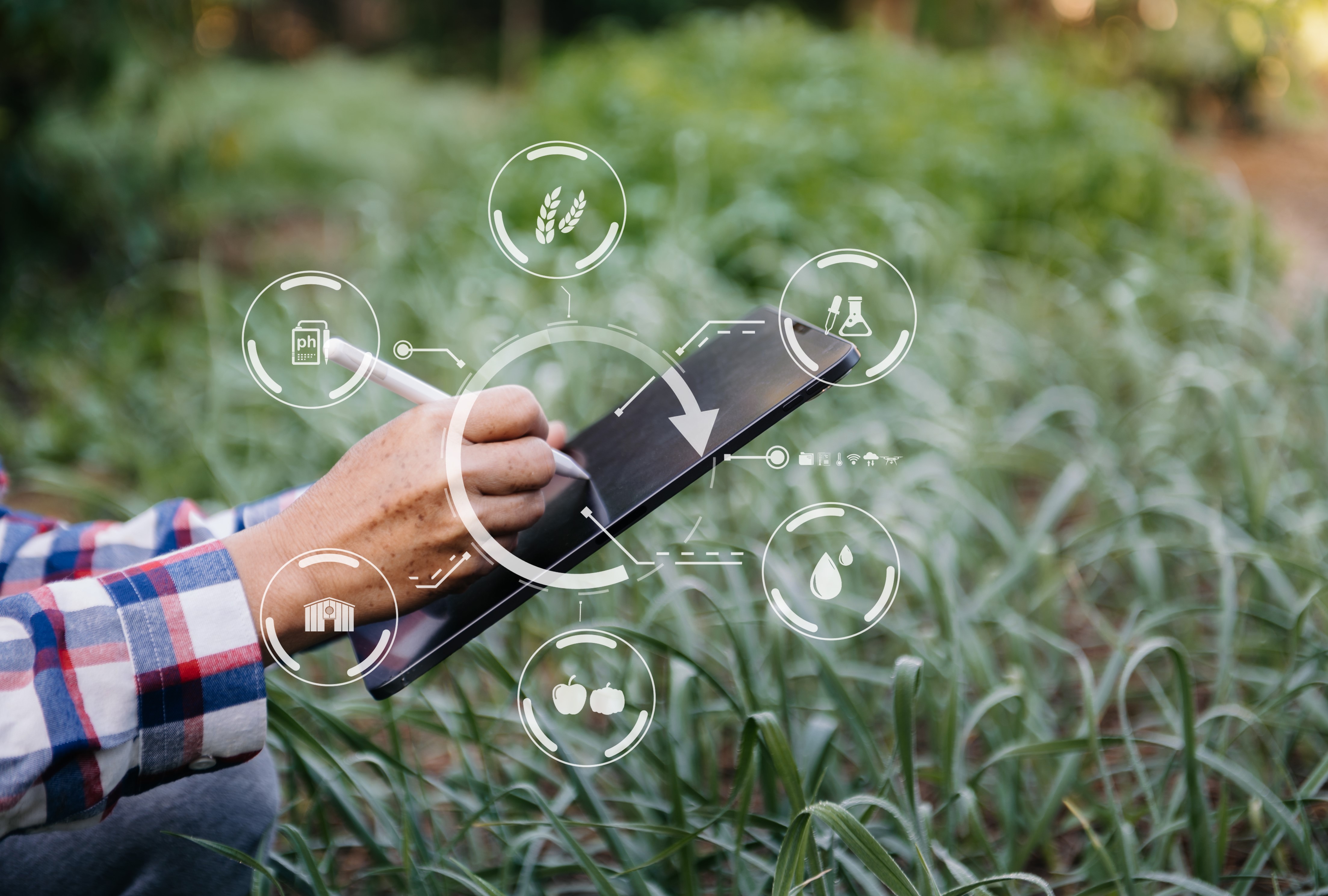 Interreg Europe Digital Rural