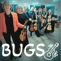 Bugs2