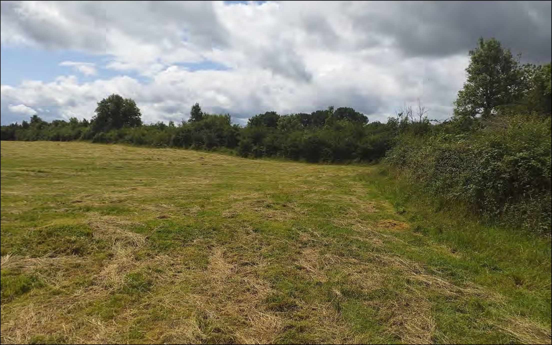 Heritage-Hedgerow-Leitrim Heritage Hedgerow