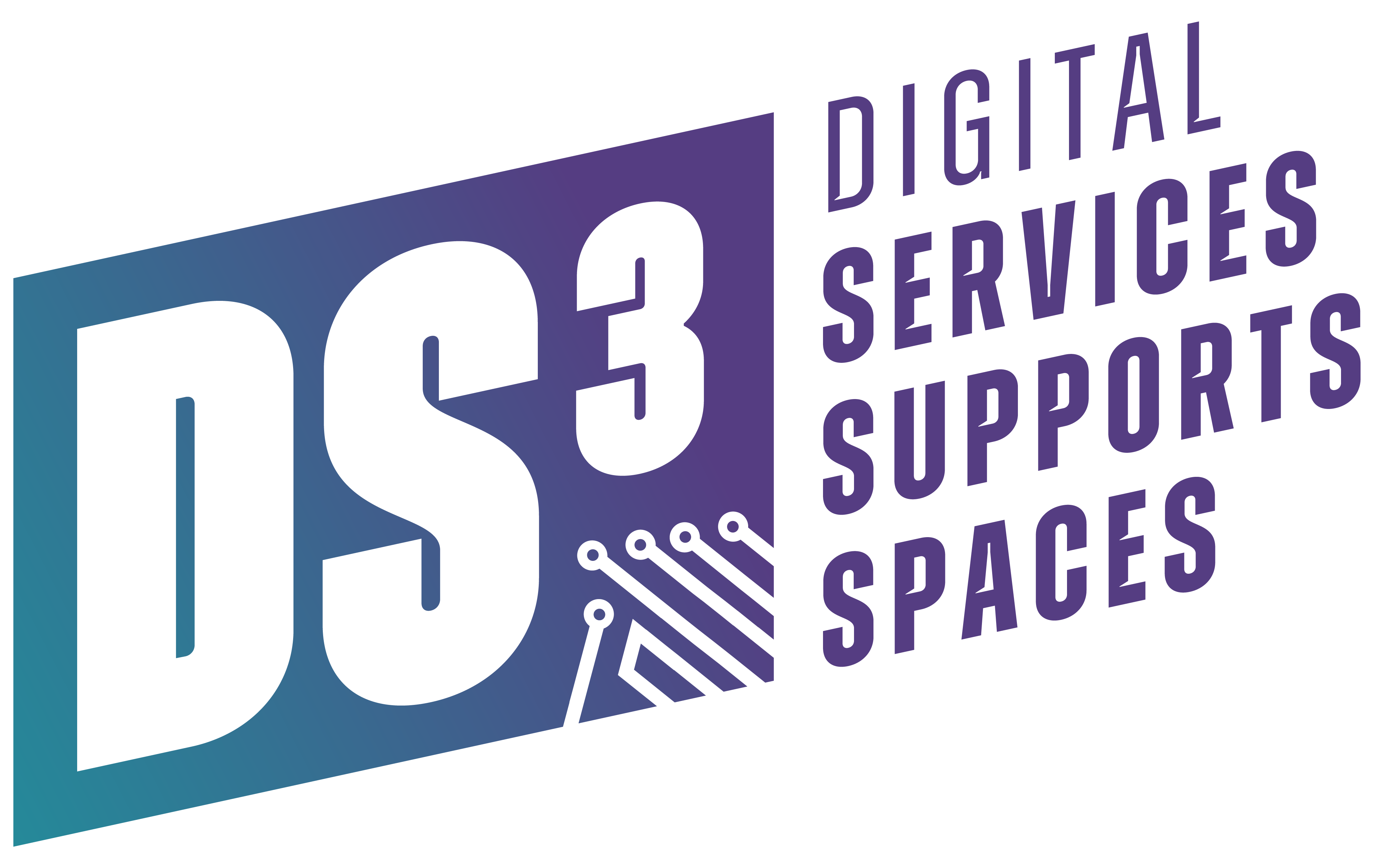 DS3---Primary-Logo---Colour